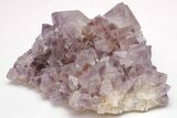Cactus Quartz (Amethyst) Crystal Cluster - Huge Crystals! #206120-2